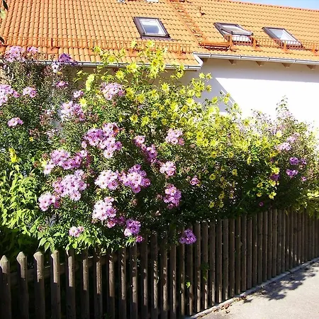 Wiflinger Graben Einfamilienhaus Wörth