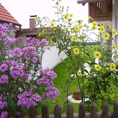 Prázdninový dům Wiflinger Graben Einfamilienhaus *