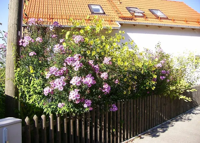 Wiflinger Graben Einfamilienhaus Wörth